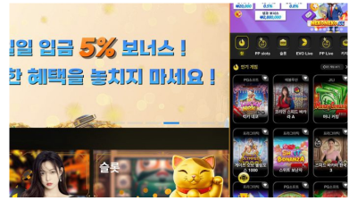 네코네코 먹튀