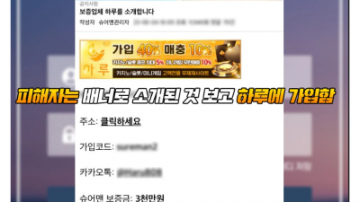 하루 먹튀